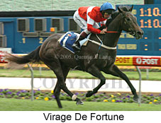 Virage De Fortune (18294 bytes)