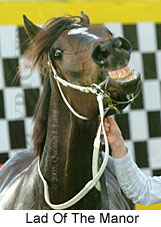 Lad Of The Manor (18294 bytes)
