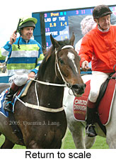 Return to scale (14117 bytes)