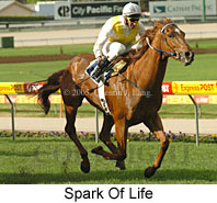 Spark Of Life (16986 bytes)