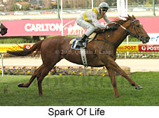 Spark Of Life (16066 bytes)