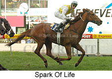Spark Of Life (17961 bytes)