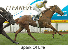 Spark Of Life (14771 bytes)