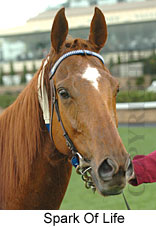 Spark Of Life (13736 bytes)