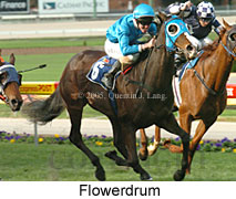 Flowerdrum (18294 bytes)