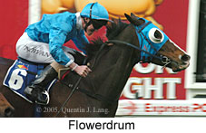 Flowerdrum (18294 bytes)