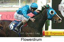 Flowerdrum (18294 bytes)