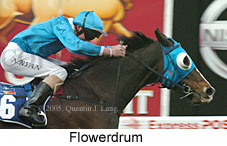 Flowerdrum (18294 bytes)