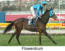 Flowerdrum (18294 bytes)