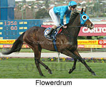 Flowerdrum (18294 bytes)