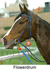 Flowerdrum (18294 bytes)