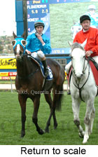 Return to scale (14117 bytes)