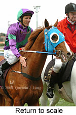 Return to scale (15472 bytes)