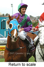 Return to scale (15472 bytes)