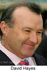 David Hayes (16727 bytes)