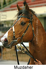 Muzdaher (16727 bytes)