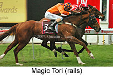 Magic Tori (16727 bytes)