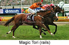 Magic Tori (16727 bytes)