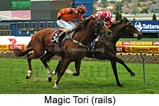 Magic Tori (16727 bytes)