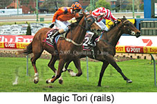 Magic Tori (16727 bytes)