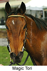 Magic Tori (16727 bytes)