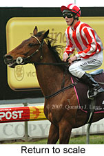 Return to scale (15472 bytes)