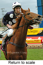 Return to scale (15472 bytes)