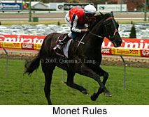 Monet Rules (16727 bytes)