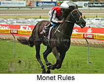 Monet Rules (16727 bytes)