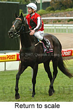 Return to scale (15472 bytes)