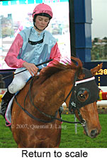 Return to scale (15472 bytes)