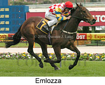 Emlozza (17710 bytes)