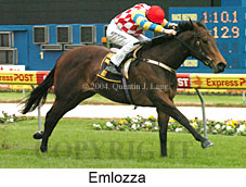 Emlozza (19467 bytes)