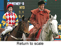 Return to scale (16320 bytes)