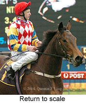 Return to scale (17898 bytes)