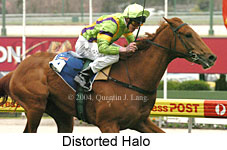 Distorted Halo (15577 bytes)