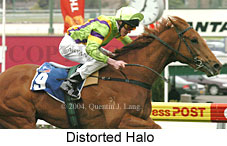 Distorted Halo (15517 bytes)