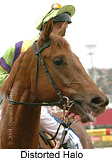 Distorted Halo (12538 bytes)
