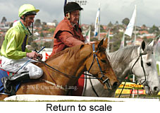 Return to scale (16998 bytes)