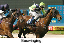 Beswinging (16477 bytes)