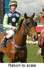 Return to scale (11341 bytes)