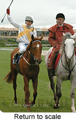 Return to scale (14117 bytes)