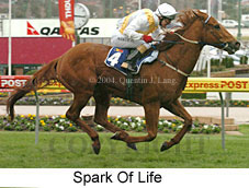 Spark Of Life (18294 bytes)