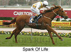 Spark Of Life (16986 bytes)