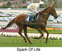Spark Of Life (17961 bytes)