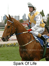 Spark Of Life (14771 bytes)