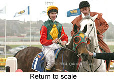 Return to scale (16178 bytes)