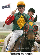 Return to scale (15522 bytes)