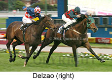 Delzao (16960 bytes)