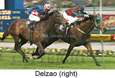 Delzao (17025 bytes)